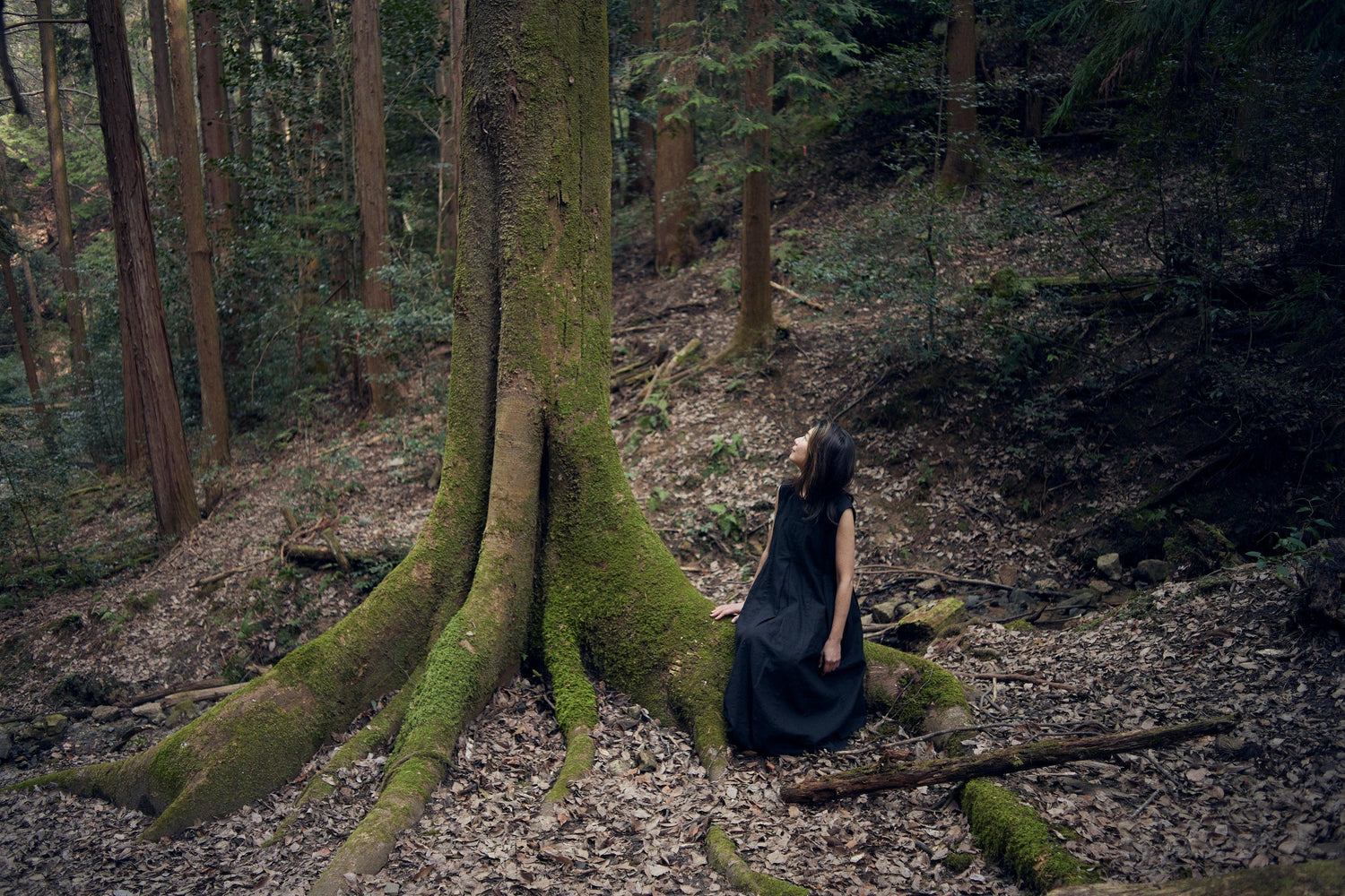 Liloop(リループ)