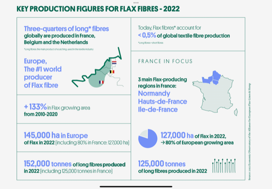 2023年今気になるFlax（リネンの原料植物）の収穫動向（7月時点）